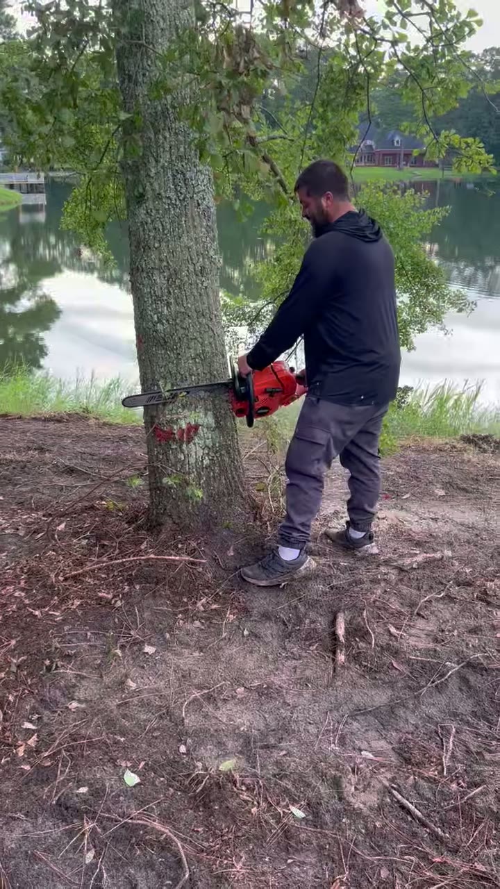 Tree Removal video poster